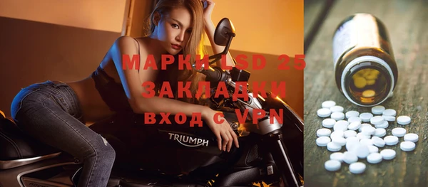 стафф Аркадак