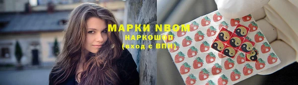 прущие крисы Арсеньев