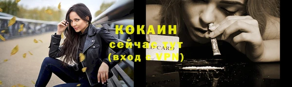 стафф Аркадак
