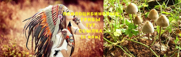 прущие крисы Арсеньев