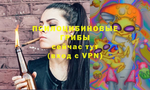 бошки Армянск