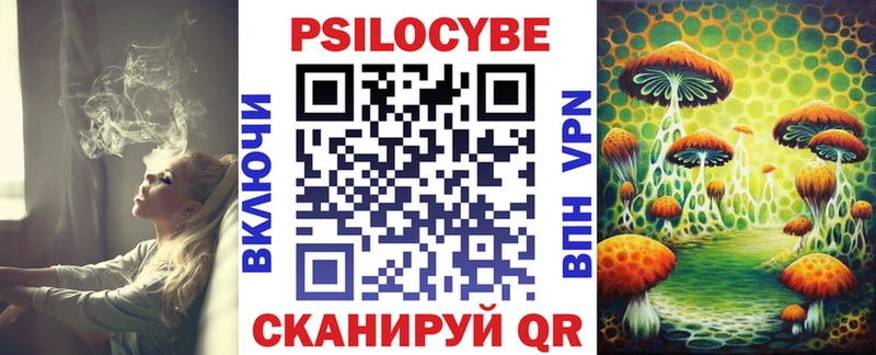 Купить  Нерехта  Псилоцибиновые грибы MAGIC MUSHROOMS 